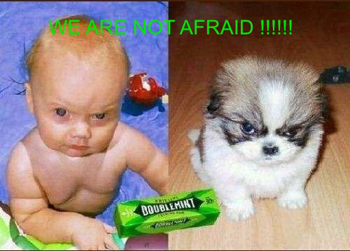 Italy\'s not afraid